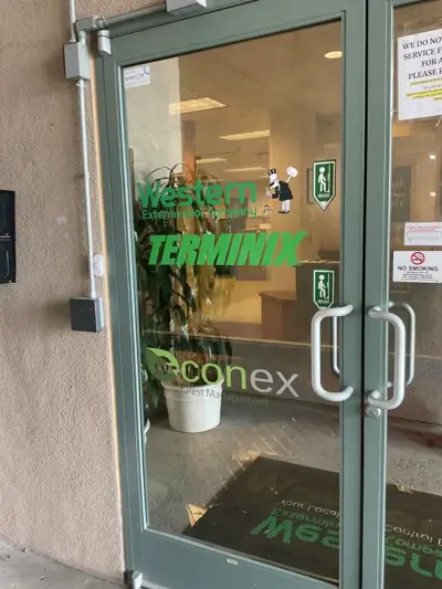 Window Graphics Photo